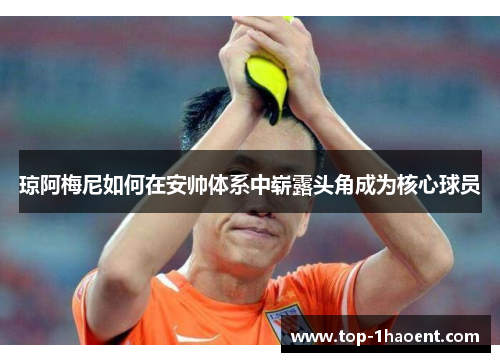 琼阿梅尼如何在安帅体系中崭露头角成为核心球员 琼阿梅尼如何在安帅体系中崭露头角成为核心球员