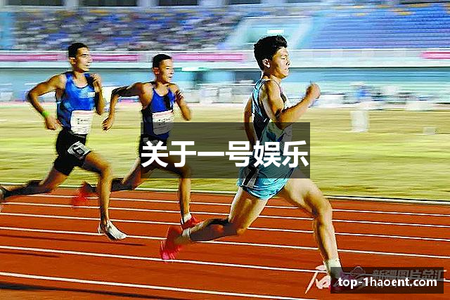 关于一号娱乐